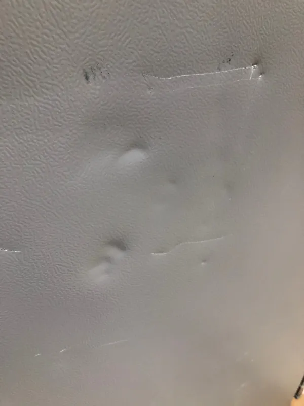 Cosmo 36 in. 4 Door French Door Refrigerator, Stainless (OPEN BOX COSMETIC IMPECTIONS)